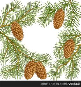fir tree branches vector frame on white background. fir tree vector frame on white background