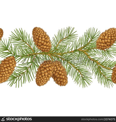 fir tree branches vector pattern on white background. fir tree vector pattern isolated