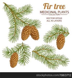 fir tree branches vector set on white background. fir tree vector set on white background