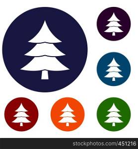 Fir tree icons set in flat circle reb, blue and green color for web. Fir tree icons set