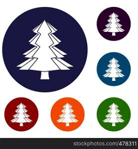 Fir tree icons set in flat circle red, blue and green color for web. Fir tree icons set