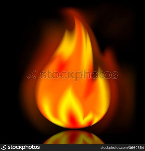 Fire, bright flame on black background