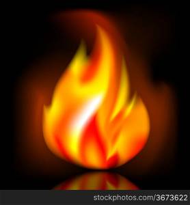 Fire, bright flame on dark background