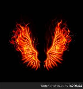 Fire burning wings