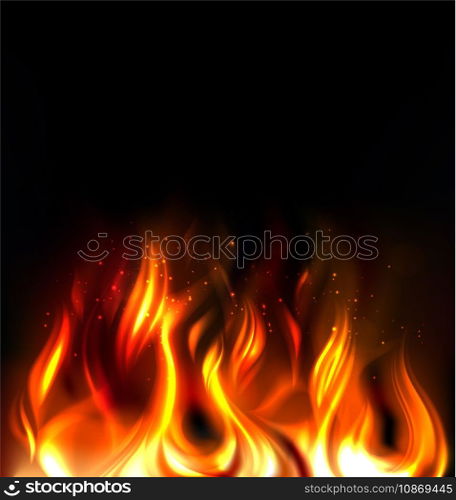 Fire vector image