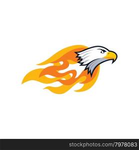 firey eagle. bold firey eagle bird template theme vector art illustration