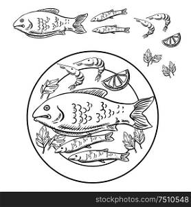 Fish and shrimps with fresh lemon slice and parsley leaves served on a plate. Sketch of seafood dish for menu or cooking recipe book design . Sketch of seafood with fish and shrimps