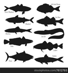 Fish black silhouettes. Sea animals horse mackerel, gilt-head bream or sea bass and anchovy, ocean eel, tuna, hake, codfish and sardine. Fishes types, fishing sport isolated vector objects. Sea and ocean fish black silhouettes