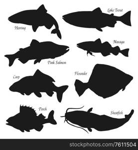 Fish black silhouettes vector icons, fish market and fishing. Sea herring, lake trout and perch, ocean pink salmon, river sheatfish and flounder, carp and navaga fish. Isolated on white. Fish silhouettes, fishing and fish market