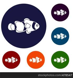 Fish clown icons set in flat circle red, blue and green color for web. Fish clown icons set