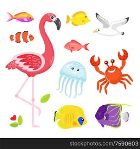 Fish different types set vector, flamingo pink bird with jellyfish. Crab and seagull, flower and flora foliage of exotic area. Jellyfish and crayfish. Flamingo and Jellyfish, Seagull and Crab Animals
