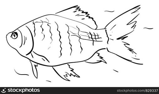 Fish drawing, illustration, vector on white background.