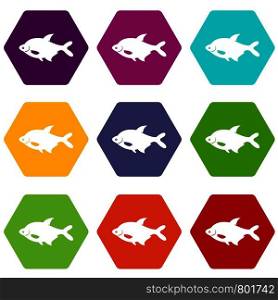 Fish icon set many color hexahedron isolated on white vector illustration. Fish icon set color hexahedron