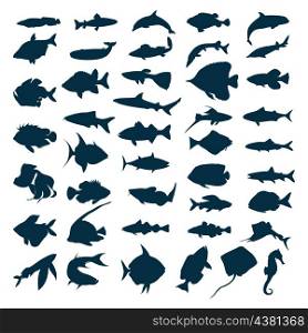 fish icon. Silhouettes of sea and lake fishes. A vector illustration