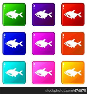 Fish icons of 9 color set isolated vector illustration. Fish icons 9 set