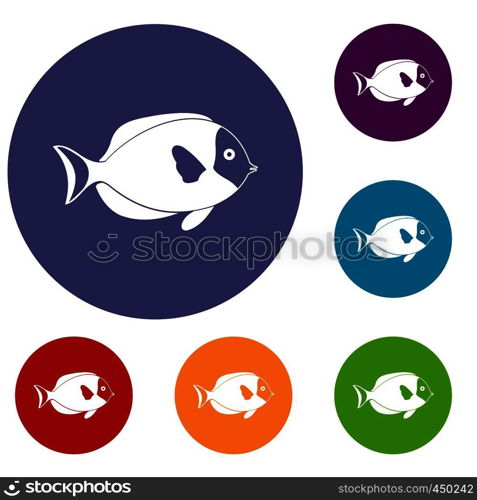Fish icons set in flat circle reb, blue and green color for web. Fish icons set