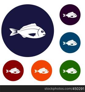 Fish icons set in flat circle reb, blue and green color for web. Fish icons set