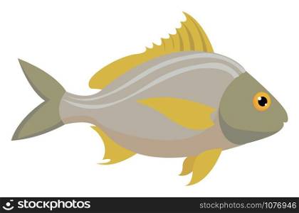 Fish, illustration, vector on white background.