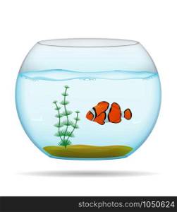 fish in a transparent aquarium vector illustration isolated on white background