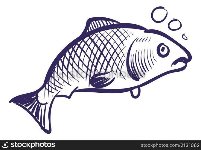 Fish in water. Sea animal in sketch style isolated on white background. Fish in water. Sea animal in sketch style