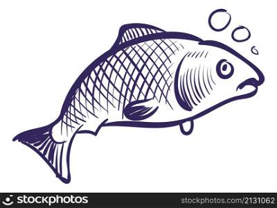 Fish in water. Sea animal in sketch style isolated on white background. Fish in water. Sea animal in sketch style
