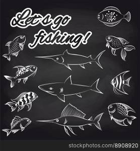 Fish on chalkboard and text. White hand drawn fish on chalkboard and text Lets go fishing. Vector illustration