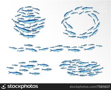 Fish school colonies realistic set with fast moving wedge shape feeding shoals circulair transparent background vector illustration