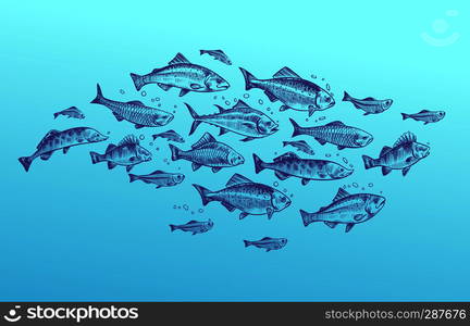 Fish school. Fishes group hand drawn sketch. Restaurant delicacy seafood menu dorado mackerel tuna fresh food fishing vector design. Fish school. Fishes group hand drawn sketch. Restaurant delicacy seafood menu dorado mackerel tuna fresh food design