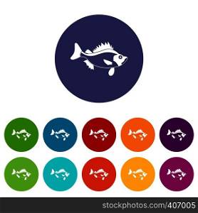 Fish set icons in different colors isolated on white background. Fish set icons