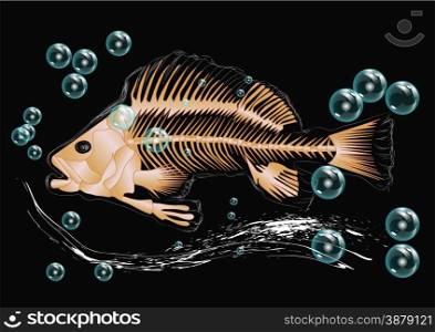 fish skeleton and bubbles isolatedon black background
