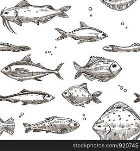 Fish sketch pattern background. Vector seamless design of river carp, ocean flounder or sea herring, eel with tuna or catfish and trout fishes. Fish sketch pattern background. Vector seamless design