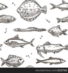 Fish sketch pattern background. Vector seamless design of river carp, ocean flounder or sea herring, eel with tuna or catfish and trout fishes. Fish sketch pattern background. Vector seamless design