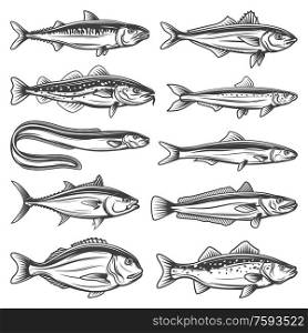 Fish species outline icons set. Sea animals horse mackerel, gilt-head bream or sea bass and anchovy, ocean eel, tuna, hake, codfish and sardine. Fishes types, fishing sport isolated vector objects. Sea animals, ocean fish species outline icons set