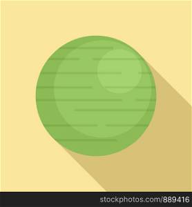 Fitness ball icon. Flat illustration of fitness ball vector icon for web design. Fitness ball icon, flat style