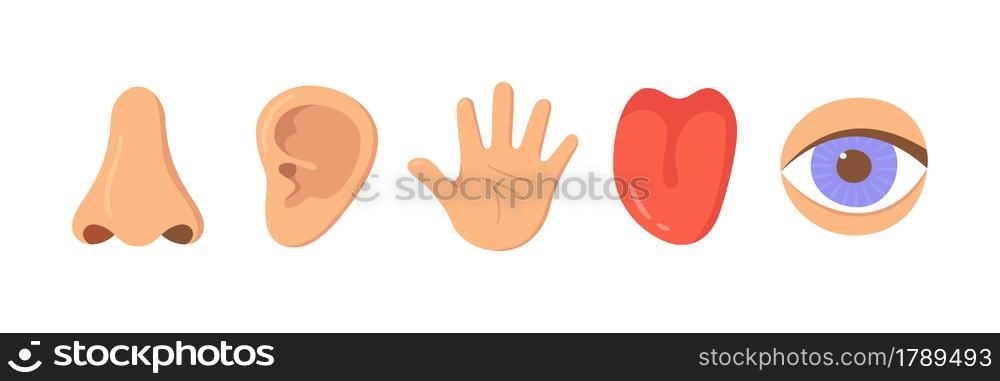 Five human senses organ set. Nose, ear, hand, tongue, eye. Sensory organs set. See, hear, feel, smell and taste. Elements for an educational manual. Vecor illustrations isolated on white background.. Five human senses organ set. Nose, ear, hand, tongue, eye. Sensory organs set. See, hear, feel, smell and taste. Elements for an educational manual. Vecor illustrations isolated on white background
