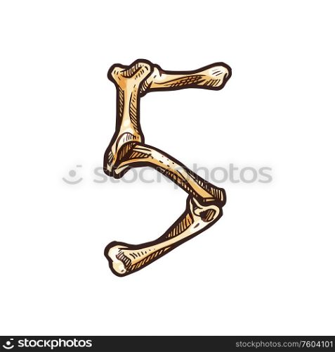 Five number of bones isolated scary numeric symbol. Vector halloween style 5 numeral. 5 numeral of human bones isolated scary five digit