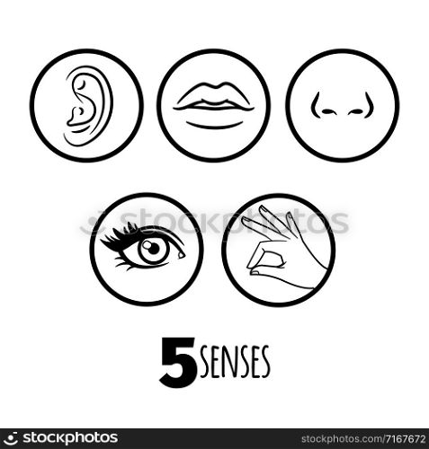 Five senses outline icons vector of set. Mouth and ear, human eye and nose illustration. Five senses outline icons vector of set