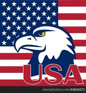 Flag of the USA and eagle