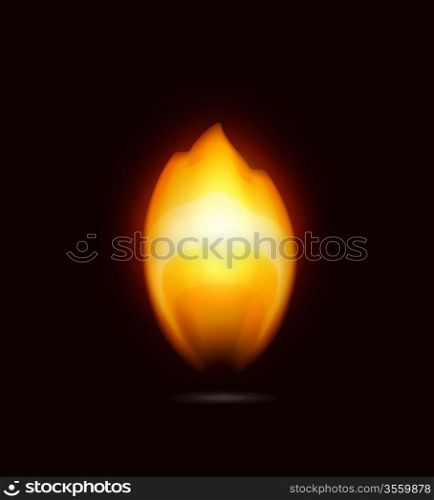 Flame on black, vector icon