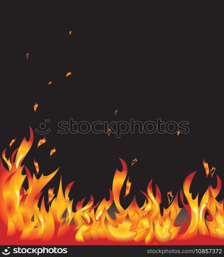 Flames vector image