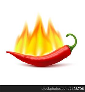 Flaming Hot Chili Pepper Pod Image. Flaming red chili pepper pod image as symbol of spicy world hottest food ingredient realistic vector illustration