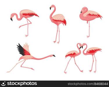Flamingo bird cartoon vector illustration set. Pink bird flying, standing, eating, showing love. Collection of stickers, patterns, prints with watercolor flamingo character. Vacation, wildlife concept