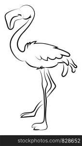 Flamingo drawing, illustration, vector on white background.