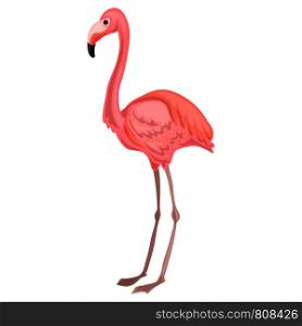 Flamingo icon. Cartoon of flamingo vector icon for web design isolated on white background. Flamingo icon, cartoon style