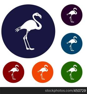 Flamingo icons set in flat circle reb, blue and green color for web. Flamingo icons set