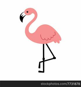 Flamingo on a white background. Vector illustration