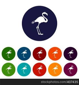 Flamingo set icons in different colors isolated on white background. Flamingo set icons