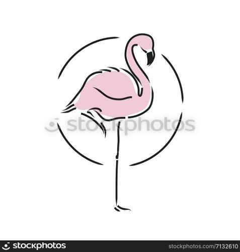 Flamingo staying on one leg vector illustration