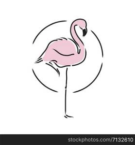Flamingo staying on one leg vector illustration