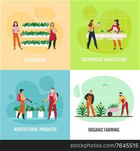 Flat 2x2 icons set with people planting and watering vegetables fruit flowers in greenhouse isolated vector illustration